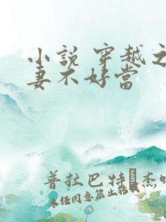 小说 穿越之继妻不好当