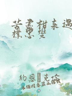 苦尽柑来遇见你朴忠燮