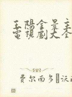 王阳金晨主演的电视剧大全