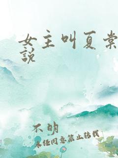 女主叫夏棠的小说