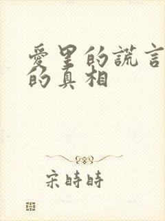 爱里的谎言仇恨的真相