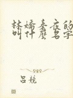 林娇秦夜的小说叫什么名字