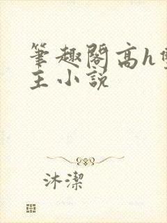 笔趣阁高h双男主小说