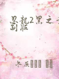 忍龙2黑之章重制版