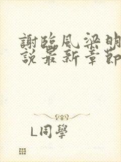 谢临风梁明昭小说最新章节