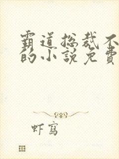 霸道总裁不存在的小说免费阅读