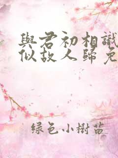 与君初相识·恰似故人归免费观看