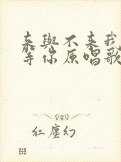 来与不来我都在等你原唱歌词