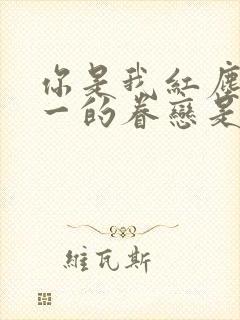 你是我红尘中唯一的眷恋是什么歌