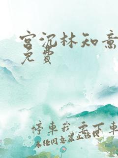 宫沉林知意小说免费