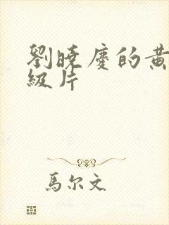 刘晓庆的黄色一级片