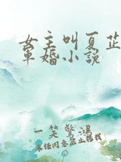 女主叫夏芷依的军婚小说