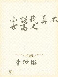 小说我真不是隐世高人