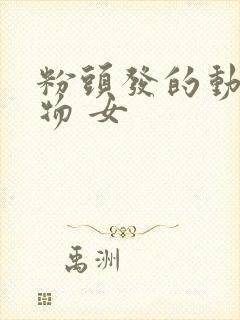 粉头发的动漫人物 女