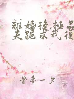 离婚后,极品前夫跪求我复婚