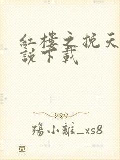 红楼之挽天倾小说下载