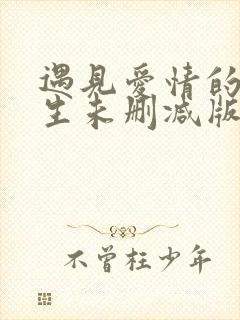 遇见爱情的利先生未删减版