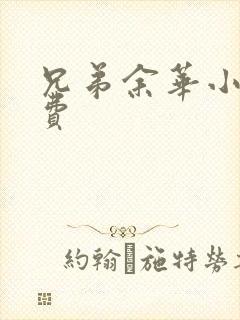 兄弟余华小说免费