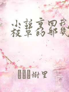 小说重回我爸当校草的那几年