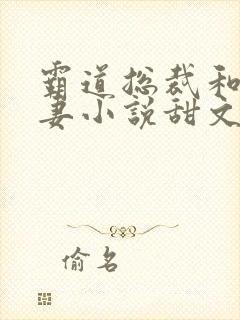 霸道总裁和小娇妻小说甜文