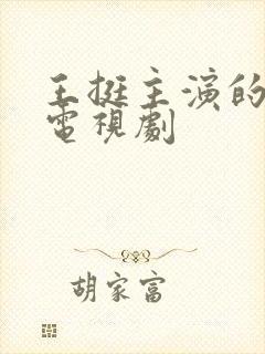 王挺主演的全部电视剧