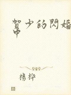 贺少的闪婚暖妻中