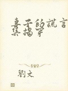 妻子的谎言多少集揭穿