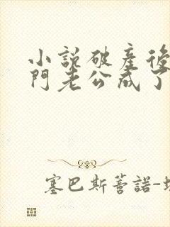 小说破产后,上门老公成了我的金主