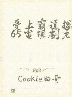 爱上霸道总裁365电视剧免费观看全集