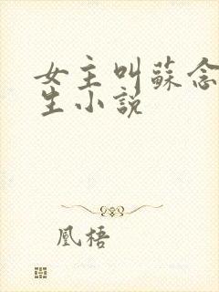 女主叫苏念的重生小说