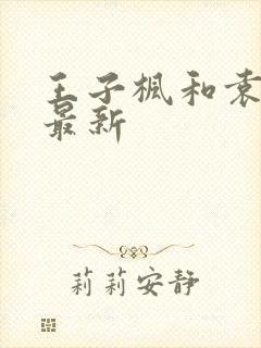 王子枫和袁雯洁最新