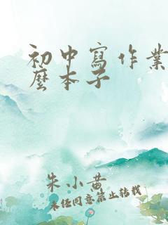 初中写作业用什么本子