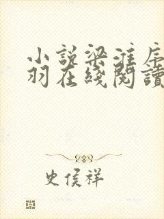 小说梁淮序林雪羽在线阅读