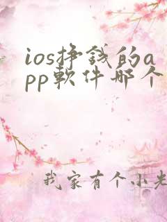 ios挣钱的app软件哪个好