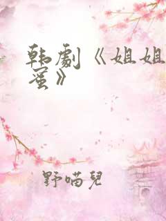 韩剧《姐姐的闺蜜》