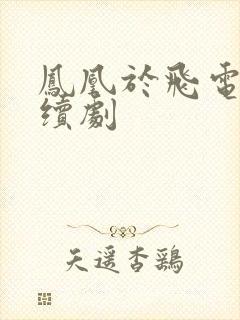 凤凰于飞电视连续剧