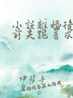 小说离婚后禁欲前夫跪着求复合简凝在线阅