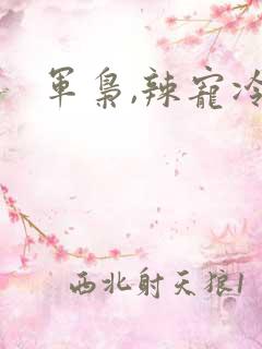 军枭,辣宠冷妻