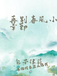 再别春风小城全章节