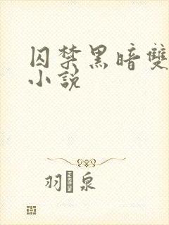 囚禁黑暗双男主小说