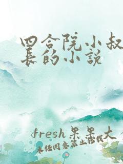 四合院小叔当军长的小说