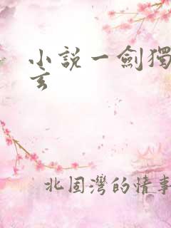 小说一剑独尊叶玄