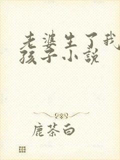 老婆生了我爸的孩子小说