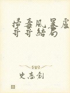 扫毒风暴卢少骅哥哥结局