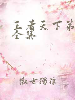 王者天下第三季全集