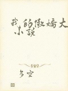 我的傲娇大小姐 小说