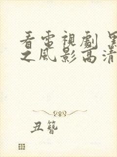 看电视剧 黑狐之风影高清