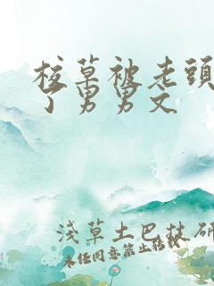 校草被老头c爽了男男文