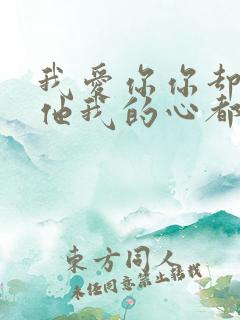 我爱你你却爱着他我的心都碎了是什么歌