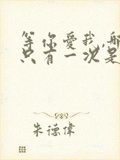 等你爱我,哪怕只有一次是什么歌?